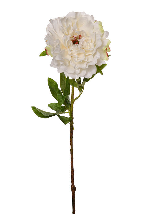 21" Silk Peony Spray Ivory