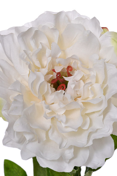 21" Silk Peony Spray Ivory