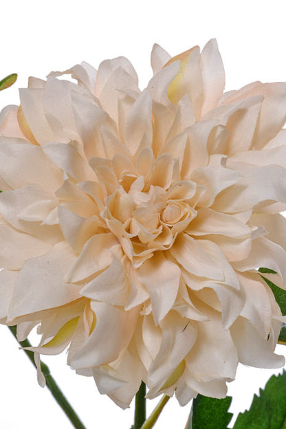 19.5" Silk Dahlia Spray Ivory