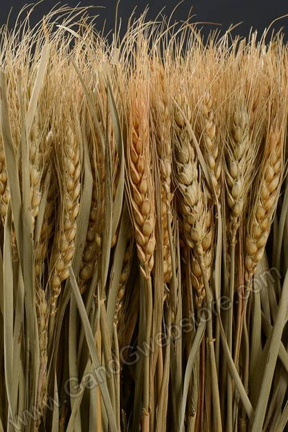 23.5" Wheat/grass/twig Stand Natural