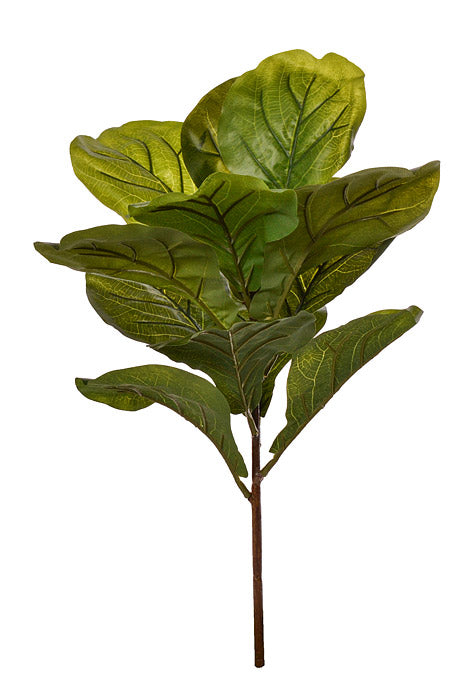 26" Fiddle Leaf Branch Green