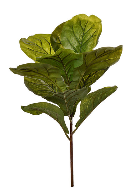26" Fiddle Leaf Branch Green