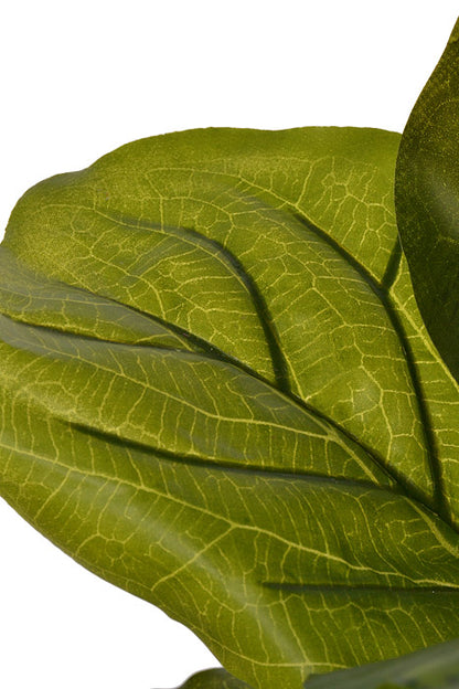 26" Fiddle Leaf Branch Green