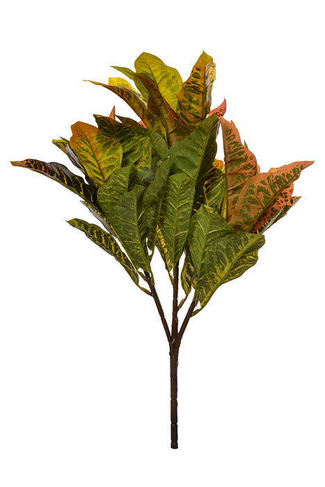 21" Croton Plant Yellow/Green/Orange