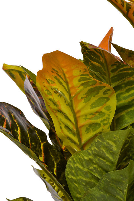 21" Croton Plant Yellow/Green/Orange