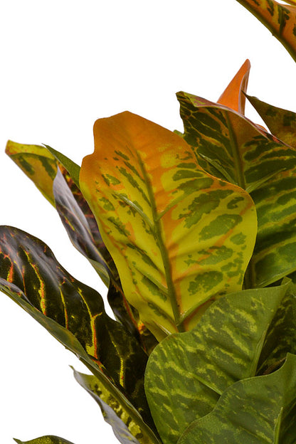 21" Croton Plant Yellow/Green/Orange