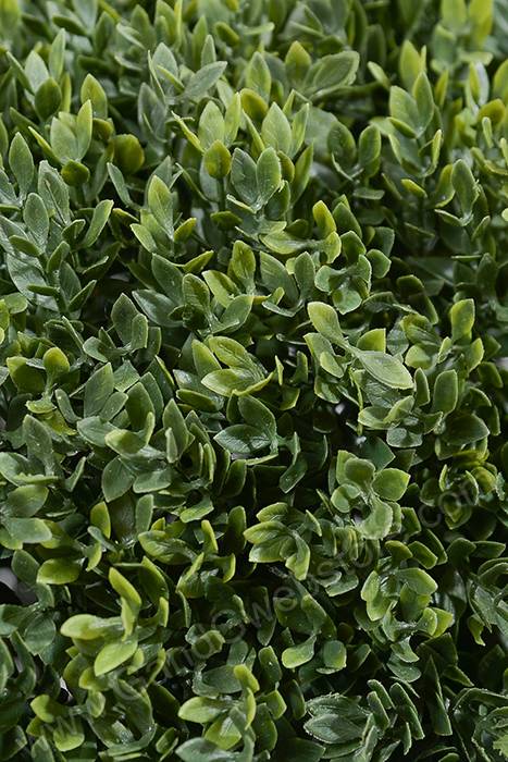 15" Tea Leaves Ball Green