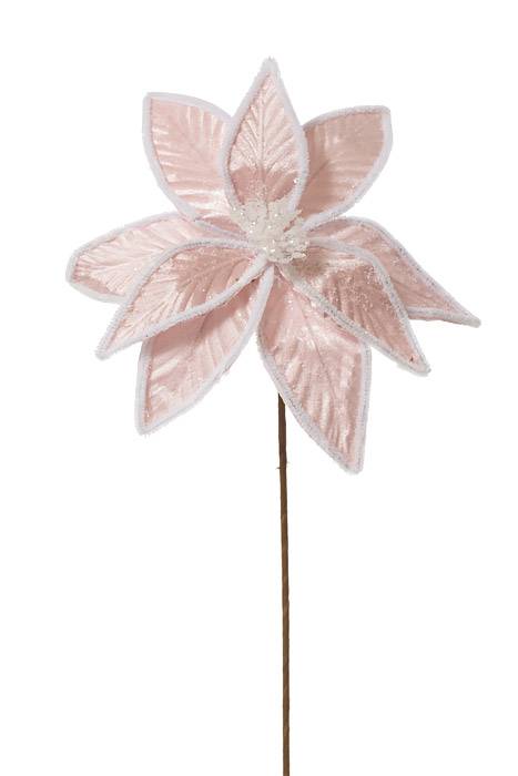 22" Frosted Cotton Candy Poinsettia Stem Pink/white