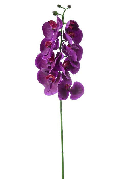 29" Phalaenopsis Spray Purple