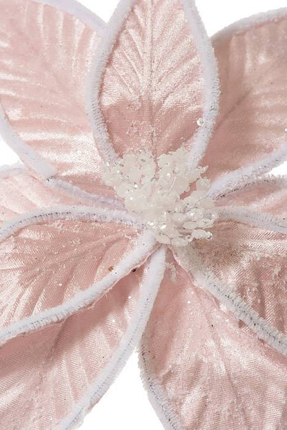 22" Frosted Cotton Candy Poinsettia Stem Pink/white