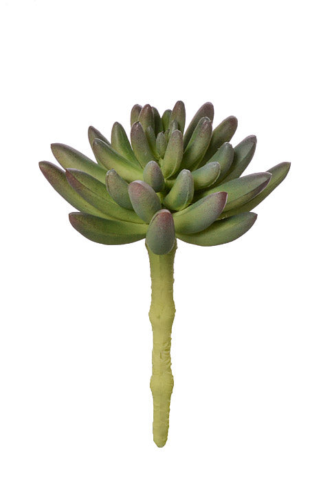 6.25" Real Touch Spike Aeonium Pick Green/Lavender