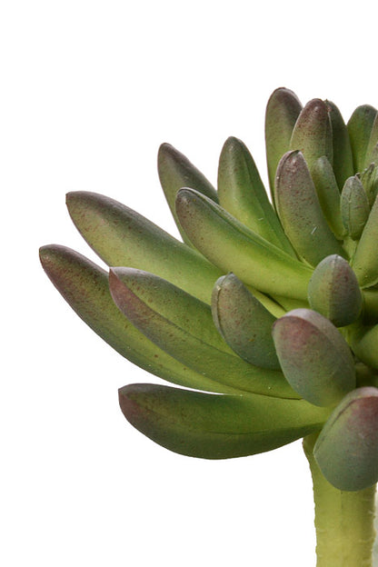 6.25" Real Touch Spike Aeonium Pick Green/Lavender