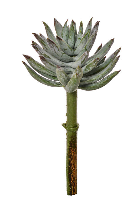 6" Mini Agave Pick Green