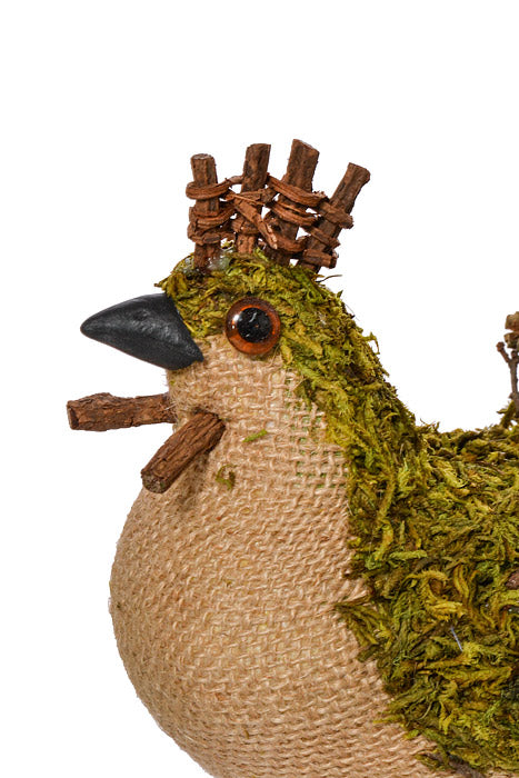 5" Moss Hen Natural/Green