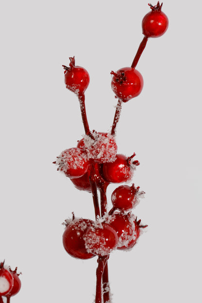 22" Snowed Rosehip Spray Red