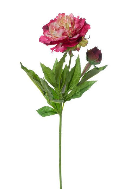 28" Silk Peony Spray Beauty/cream