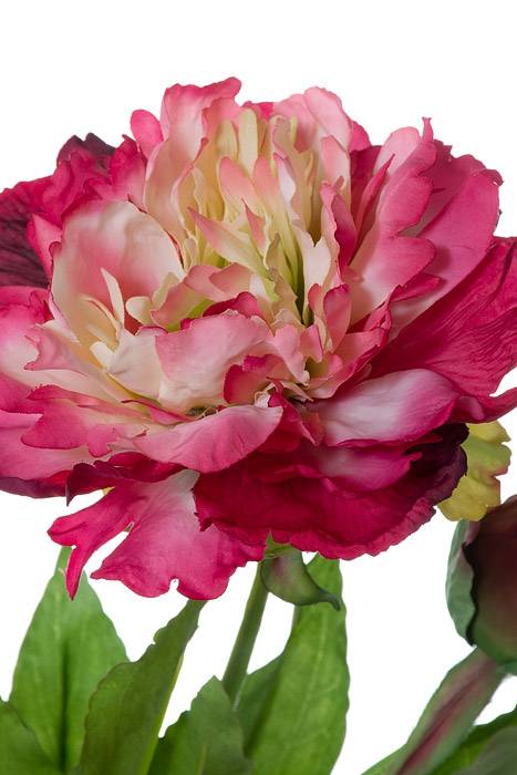 28" Silk Peony Spray Beauty/cream