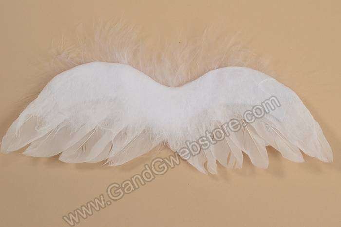 2.5&quot; X 7&quot; Feather Angel Wings White Pkg/12