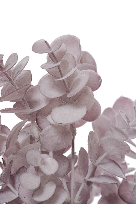 14" Eucalyptus Bush Purple