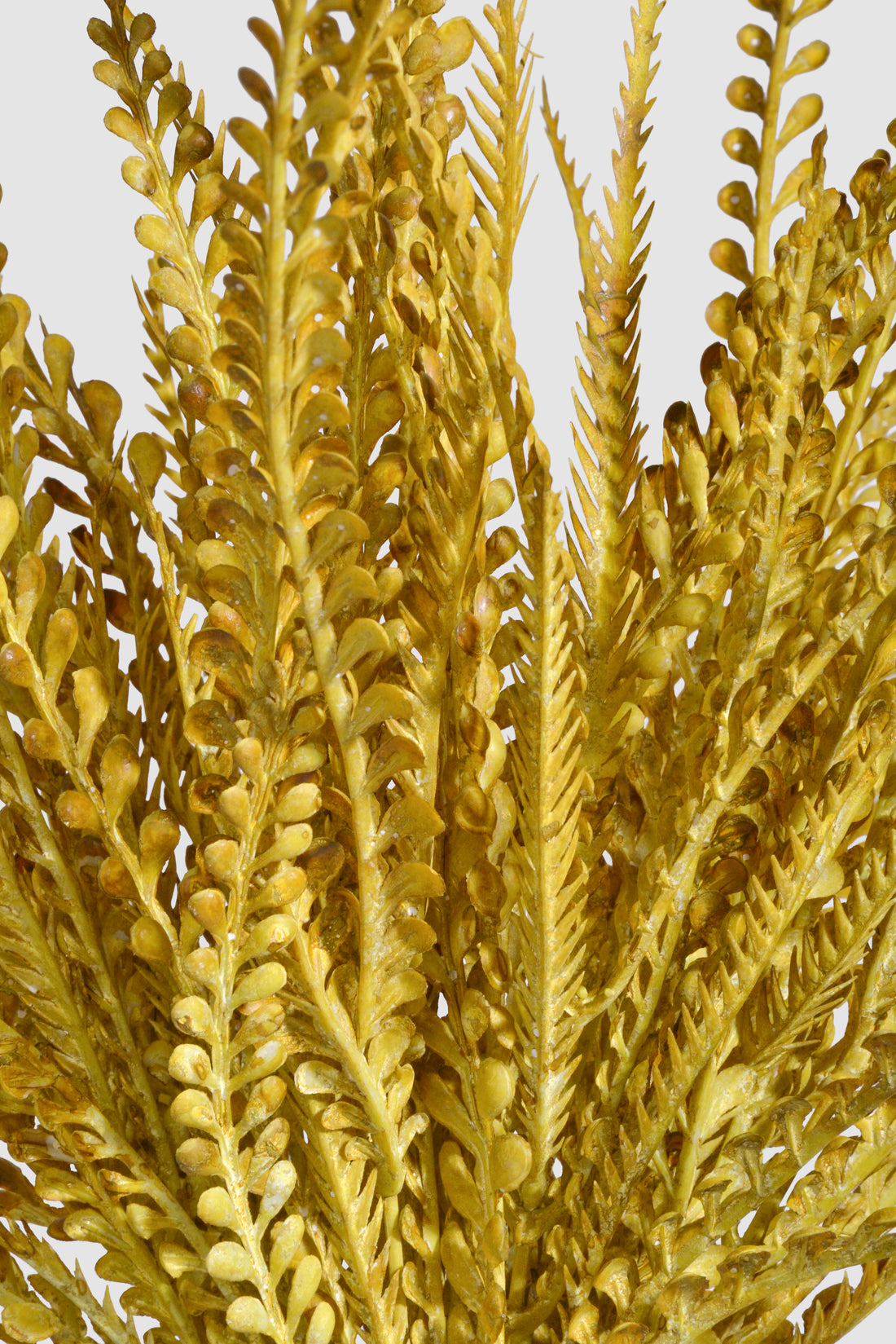 19" Artificial Peacock Fern Bush Mustard