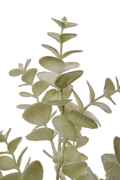 14" Eucalyptus Bush Sage Green