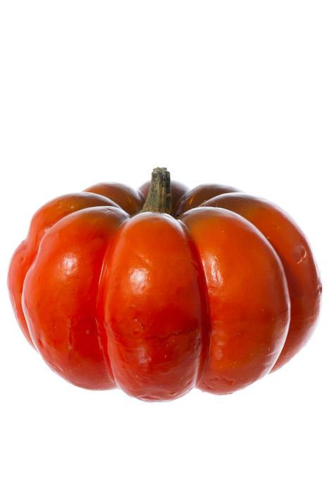 5.5" X 7.5" Weighted Pumpkin Orange/green