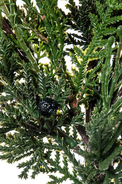 17" Cedar Blue Berry Pick