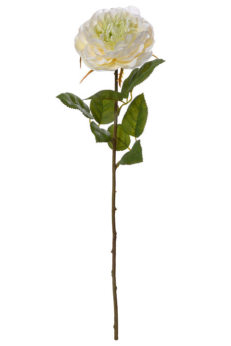 21.25" Rose Spray Cream