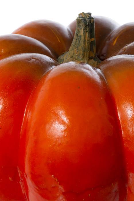 5.5" X 7.5" Weighted Pumpkin Orange/green