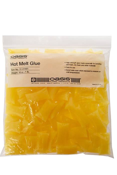 Hot Melt Glue Bg/16oz