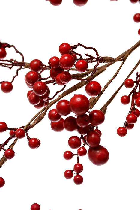 48" Waterproof Mixed Berry Garland Red