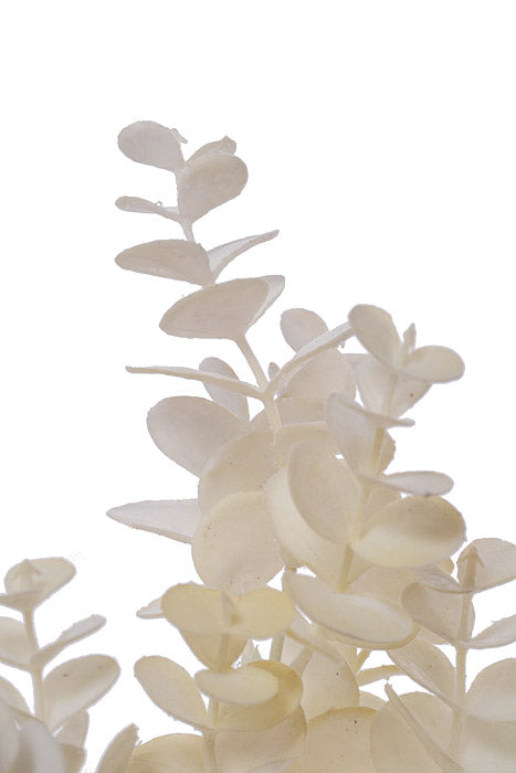 14" Eucalyptus Bush Ivory