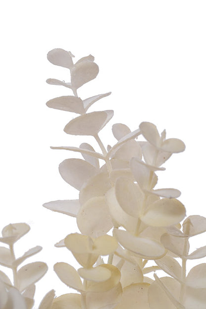 14" Eucalyptus Bush Ivory