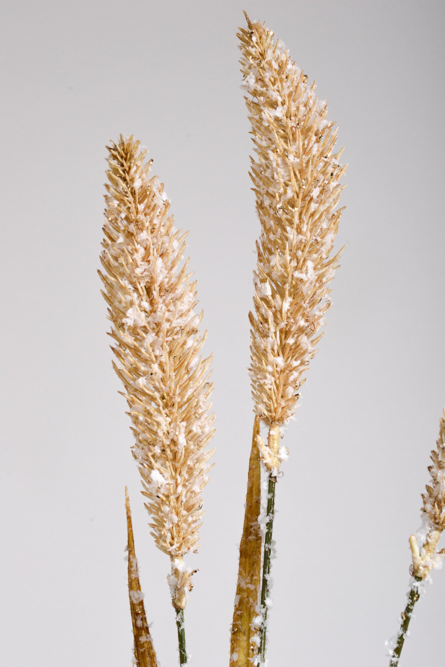 27" Autumn Glitter Millet Spray Cream