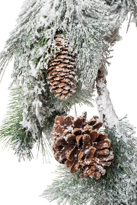 5ft Snow Pine/cone Garland White/green
