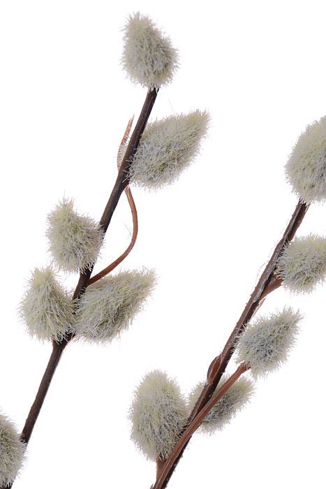 30.5" Pussy Willow Spray Grey