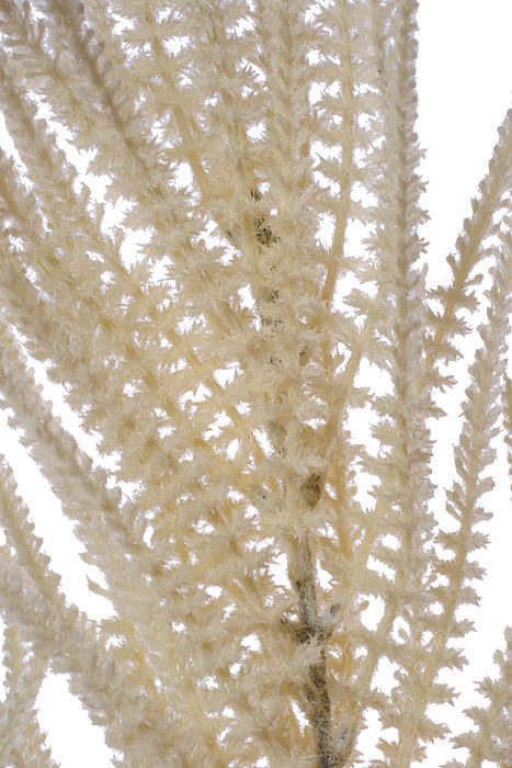 41" Foxtail Branch Cream