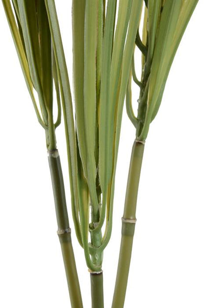 28&quot; Dracena Marginata Green