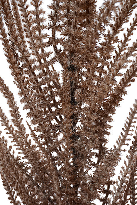 41" Foxtail Branch Brown