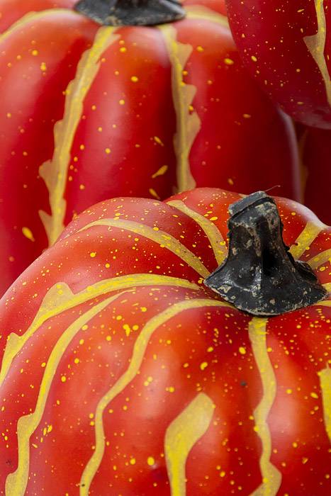 4" Harvest Pumpkin Red/orange Pkg/4