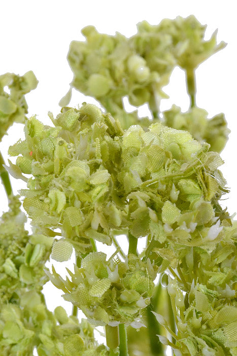 17" Queen Annes Lace Bush Light Green