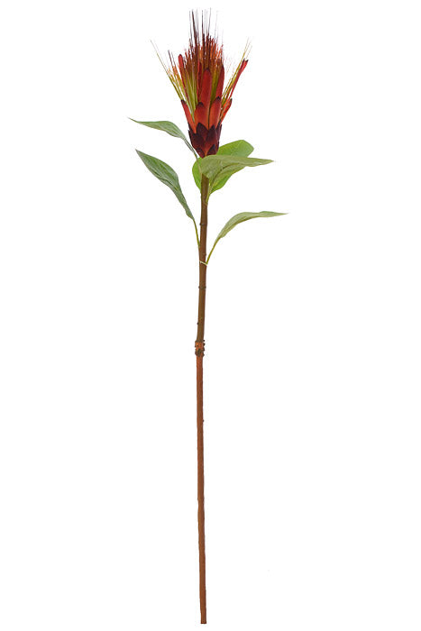 30" Royal Protea Spray Orange