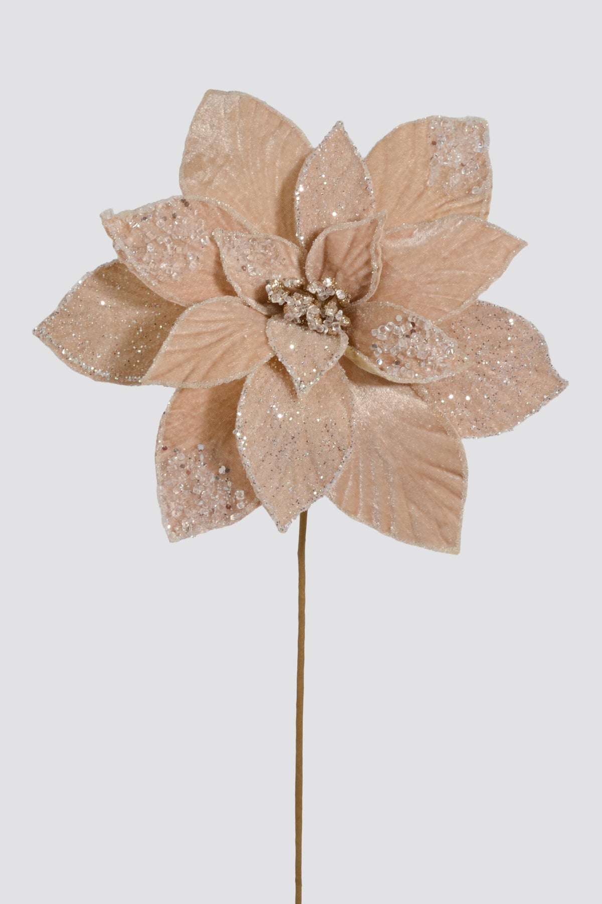 23" Frosted Poinsettia Stem Champagne/White