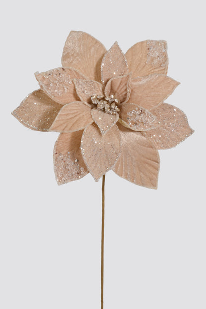 23" Frosted Poinsettia Stem Champagne/White