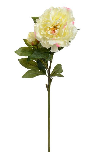 29.5" Silk Peony Spray W/bud Cream/pink