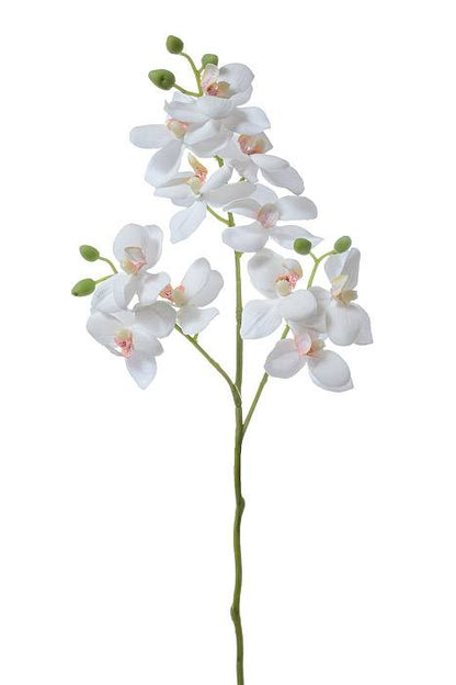 24" Phalaenopsis Stem White
