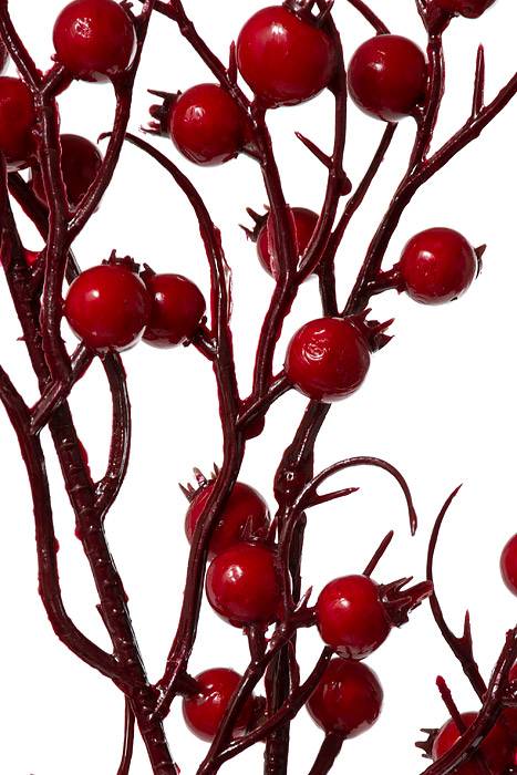 39&quot;  Rosehip Berry Spray Red