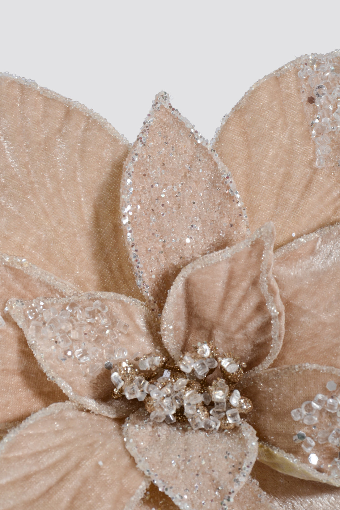 23" Frosted Poinsettia Stem Champagne/White