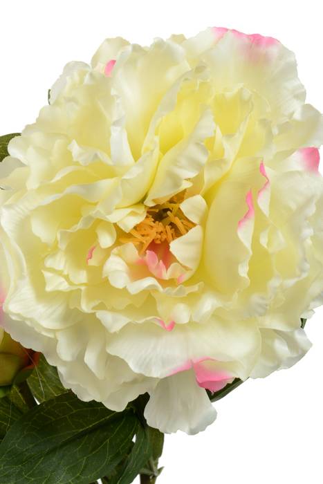 29.5" Silk Peony Spray W/bud Cream/pink
