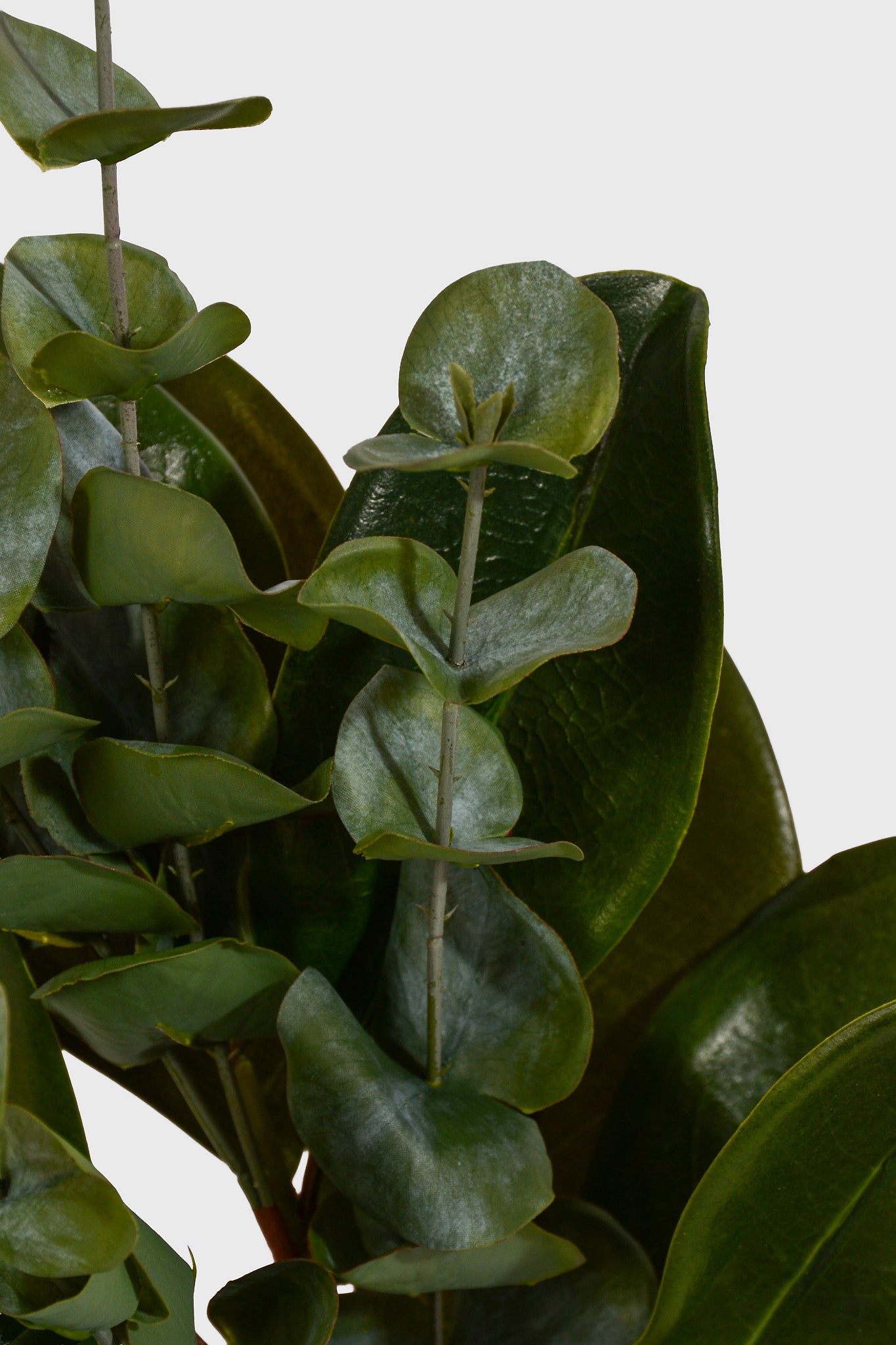 20" Artificial Southern Magnolia/Eucalyptus Spray Green